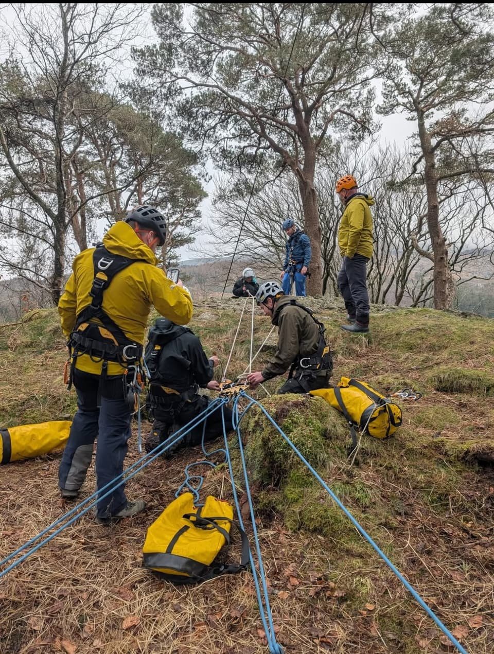 Rescue team rigging ropes in woodland