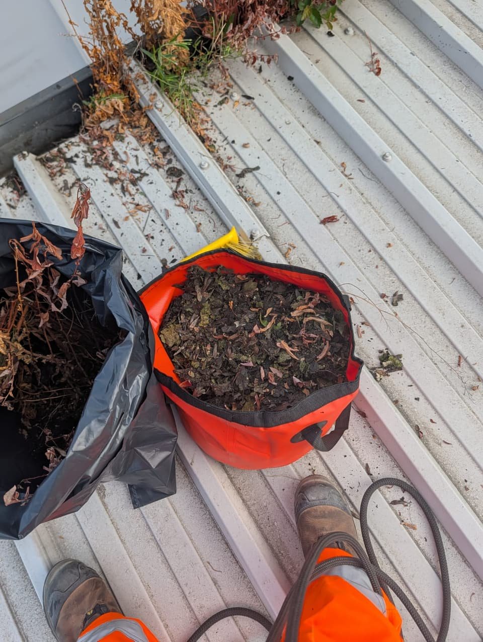 Silt and vegetation cleared from the gutters, bagged on the roof ready to be lowered down